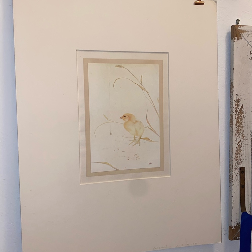 5 Matted Detmold Bird Lithos